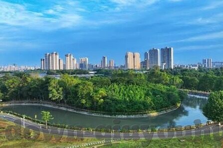 世界杯球员勃起的图-世界杯球员的激情瞬间，勃起的图与体育精神的碰撞